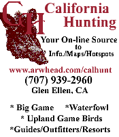 2-inch color ad